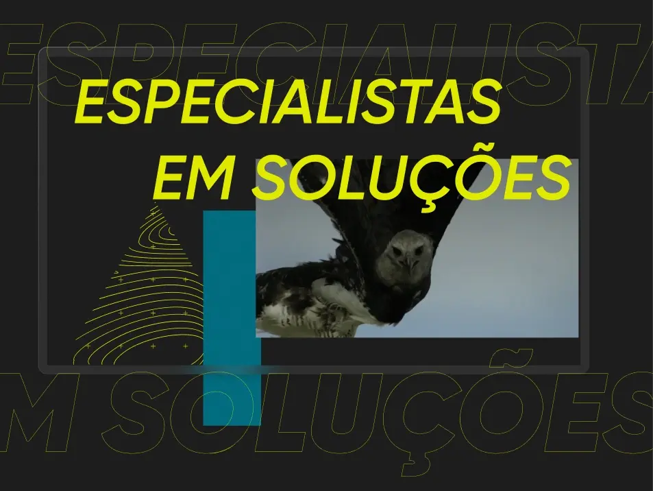 Harpia Consultoria | imagem 1 | Matilha Estúdio