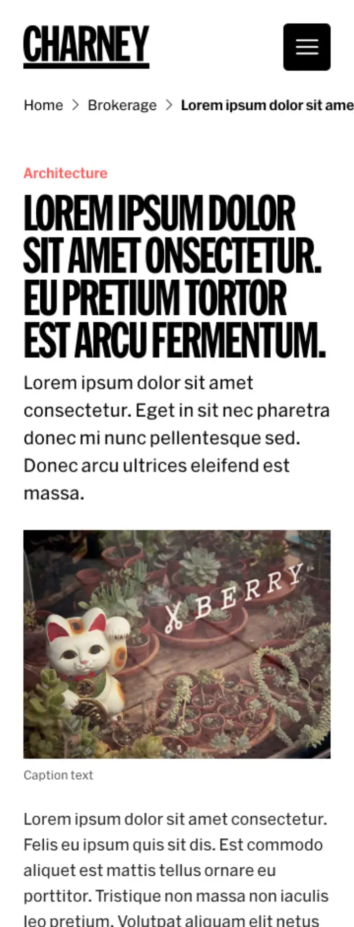Artigo Charney no mobile